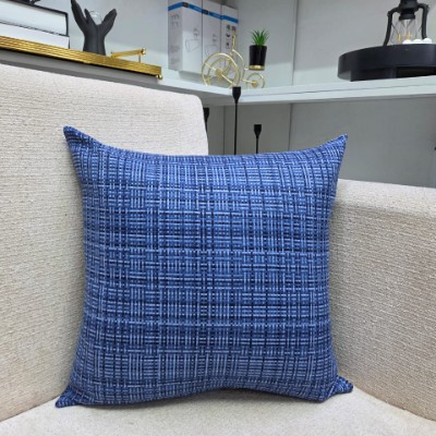 Blue throw pillow