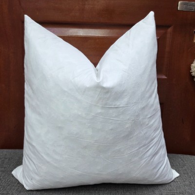 Feather pillow insert  squre